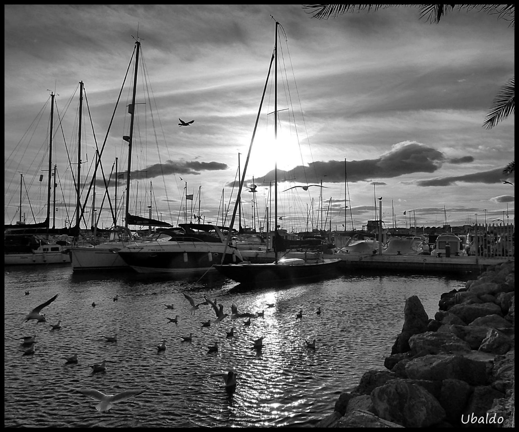 Brisas Del Mar Βίλα Caleta De Velez Εξωτερικό φωτογραφία